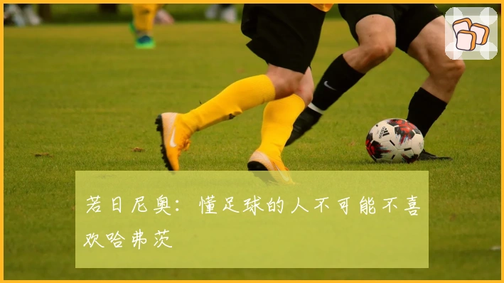 若日尼奥：懂足球的人不可能不喜欢哈弗茨