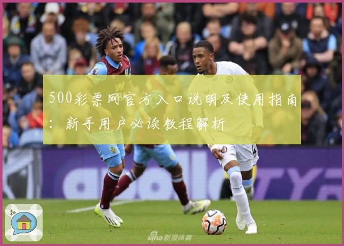 500彩票网官方入口说明及使用指南：新手用户必读教程解析