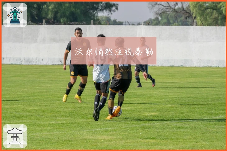 沃尔悄然注视泰勒