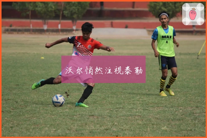 沃尔悄然注视泰勒